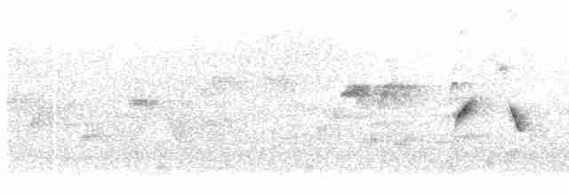 Uzun Kuyruklu Nektarkuşu (pulchellus) - ML609066651