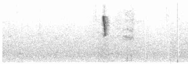 Uzun Kuyruklu Nektarkuşu (pulchellus) - ML609066652