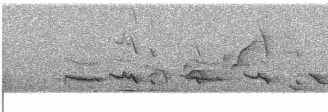 アフリカヤマメジロ（poliogastrus） - ML609066913