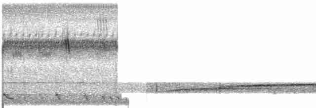 Синеголовый зимородок (monachus) - ML609066937