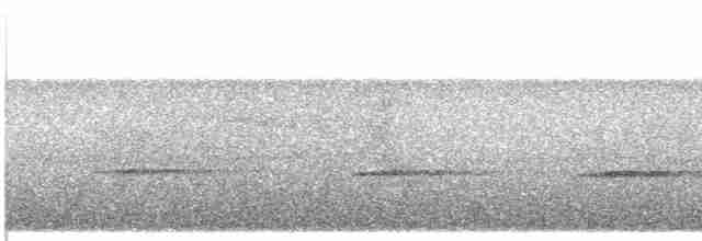Кукавка австралійська (підвид sepulcralis/everetti) - ML609067001