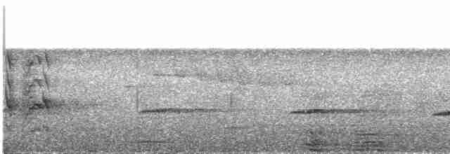 Кукавка австралійська (підвид sepulcralis/everetti) - ML609067002