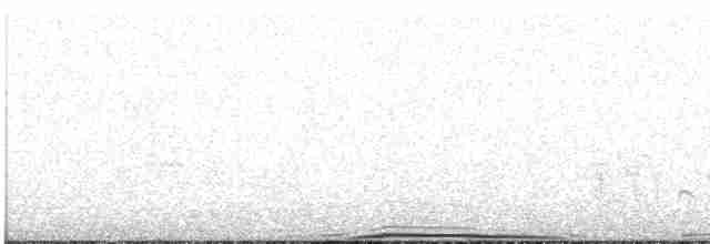holub srílanský - ML609067805