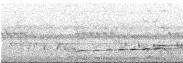 orel proměnlivý (ssp. cirrhatus/ceylanensis) - ML609068012