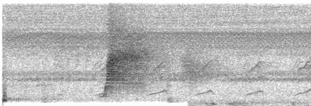 Гонолек гірський (підвид camerunensis) - ML609068149