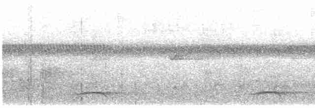 Bar-tailed Trogon - ML609068459