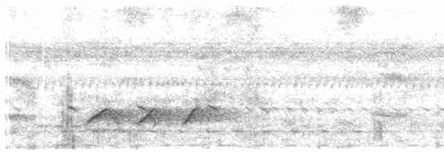 Зозуля-довгохвіст темна - ML609068502