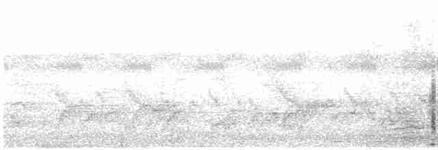 Шлемоносная цесарка (meleagris/somaliensis) - ML609068632