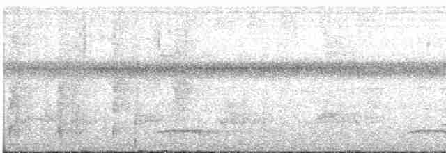 Принія зеброва (підвид melanops/obscura) - ML609068682