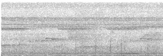 svartskrike (aterrimus) - ML609068723