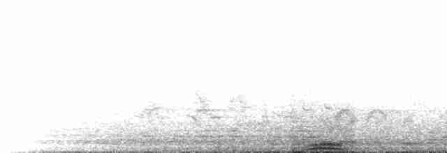 אנפית גמדית (אירואסייתית) - ML609068810