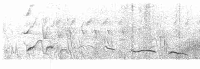 svartkronesjagra (senegalus gr.) - ML609068828