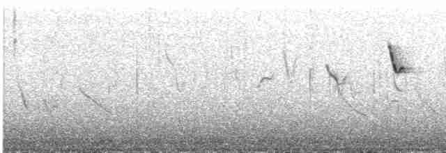 budníček černonohý (ssp. sindianus) - ML609069023
