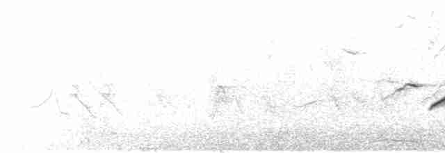 Common Rosefinch - ML609069053