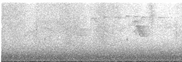 Желтоклювая лазоревая сорока - ML609069072