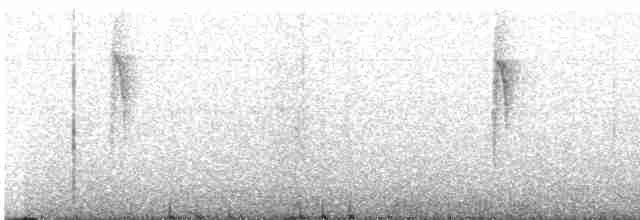 Kara Gerdanlı Nektarkuşu [saturata grubu] - ML609069119
