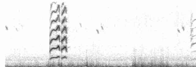 Black-tailed Godwit - ML609069220