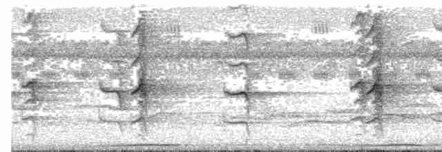 ledňáček obojkový [skupina chloris] - ML609069264
