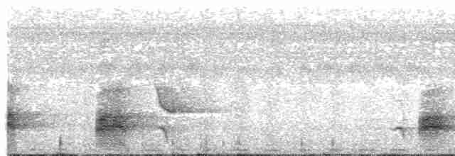 Yellow-throated Whistler (Moluccan) - ML609069266