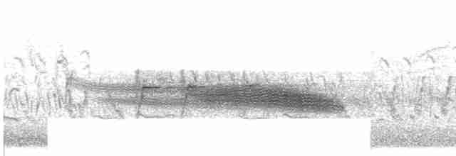 European Greenfinch - ML609069528