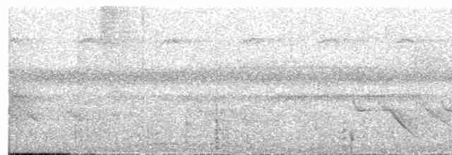 Яструб плямистохвостий - ML609069546