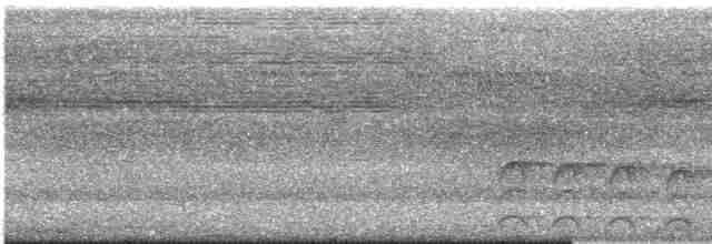 Яструб плямистохвостий - ML609069550