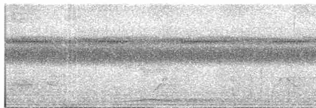 Тонкоклювый цикадник (obiense/pelingi) - ML609069658