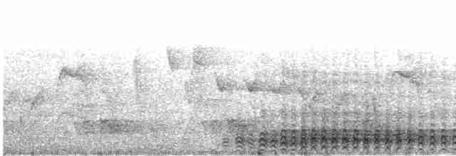 Бурый павлиний фазан - ML609069903