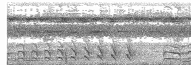 Биакский райский зимородок - ML609069981