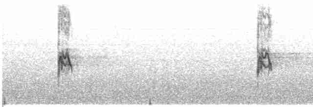 Желтоклювая лазоревая сорока - ML609070202