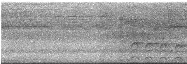 Яструб плямистохвостий - ML609070235