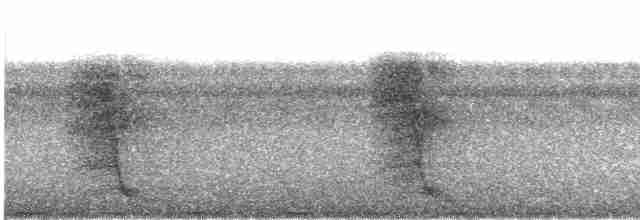 Coucal faisan (spilopterus) - ML609070295