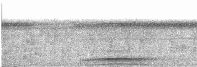 holub modroocasý - ML609070354