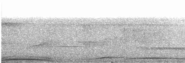 holub modroocasý - ML609070355