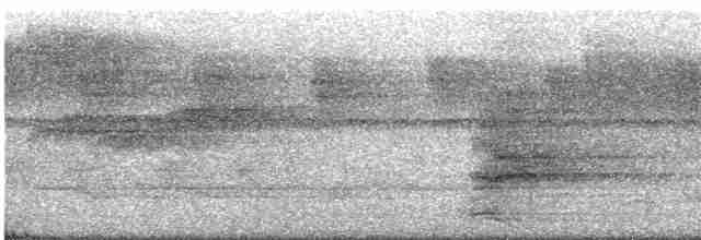 Палаванский павлиний фазан - ML609070543
