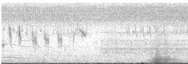 Black-browed Reed Warbler - ML609070922