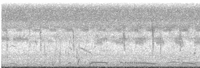 Pheasant-tailed Jacana - ML609071124