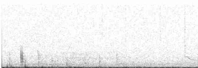 ořešník kropenatý [skupina caryocatactes] - ML609071181