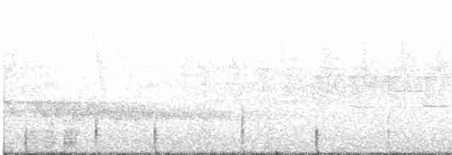 østsanger (obscuratus) - ML609071264