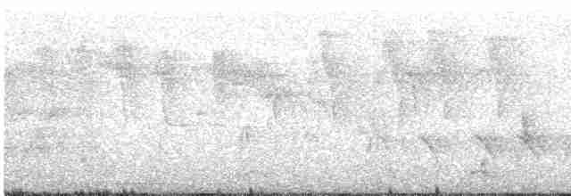 Black-eared Shrike-Babbler - ML609071320