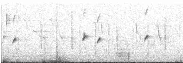 Long-tailed Rosefinch - ML609071396