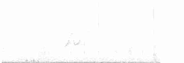 Tinamou perdrix - ML609083352