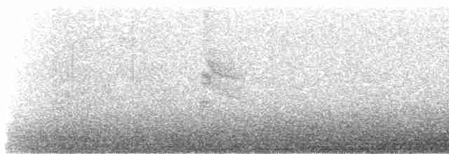nordmyggsmett (obscura gr.) - ML609093498