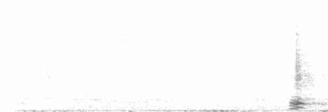 Cisne Trompetero - ML609097900