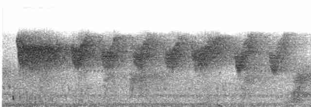 Белошапочная вилохвостка [группа frontalis] - ML609099170