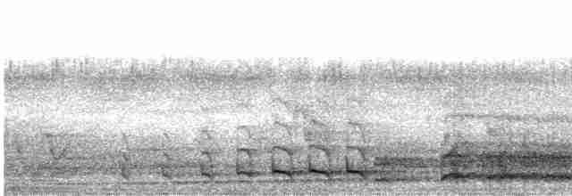 Turuncu Göğüslü Trogon [dulitensis grubu] - ML609099171
