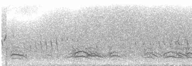 Pin-tailed Sandgrouse - ML609099199