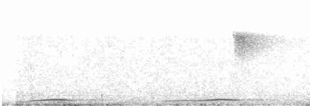 Barred Cuckoo-Dove - ML609099266