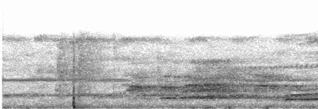 Кораловоклювая воронья кукушка - ML609099297