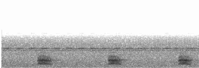 Wetar Scops-Owl - ML609099354